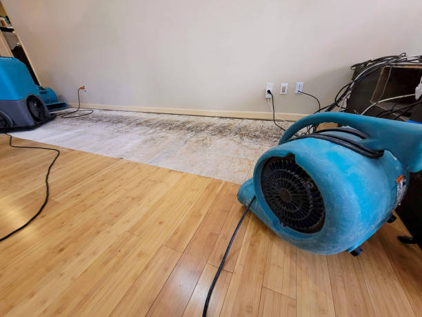 Professional Basement Flood Cleanup technician working in Reisterstown, MD